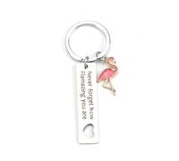 Tranbath Personalised Stainless Steel Keychain with Flamingo Pendant, 'never Forget How Flamazing You Are', Perfect for Gifts for Women, Mum, Good Friend, Sister and Unique Gifts, Women Gift