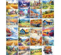 Trandraft 24 Pcs Dementia Products for Elderly Alzheimers Activities for Adults Seniors Reusable Water Painting Toys with 1 Painting Brush Water Doodle Coloring Drawing Gifts Set (Country Life)