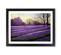 Tranquil Bluebell Field Sunrise Framed Print | A4 Black Framed Wall Art | Ready to Hang | Modern Landscape Picture | Living Room Bedroom Lounge Office