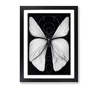 Tranquil Butterfly Framed Print | A3 Black Framed Wall Art | Ready to Hang | Modern Animal Picture | Living Room Bedroom Lounge Office