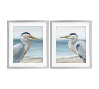 Tranquil Heron Coastal Gaze, 17 x 21 Inch Framed Print Under Glass Set