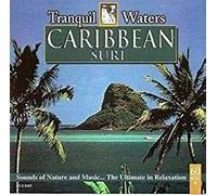 Tranquil Waters: Caribbean Surf