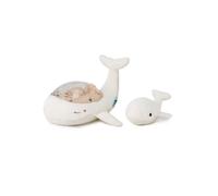Tranquil Whale Family - White