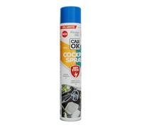 TRANS - PAL Cockpit Shine Car Interior Cleaner Spray, 300ml, Various Scents, Cleans Dashboards and Trims, Anti-Static, For Plastic, Rubber and Vinyl, Ideal for Car Detailing (OCEAN)