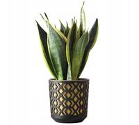 TRANS - PAL Modern Geometric Plant Pot 25.5cm - Black Outer Shell with Glossy Light Gold Insert - Large Indoor & Outdoor Flower Planter - Stylish Decorative Plastic Pot for Home & Garden