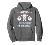 Trans Sheep In The Family LGBT Pride Transgender Pullover Hoodie, Adult Unisex, Asphalt Grey, X-Large