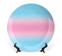 Trans Transgender Flag Funny Decorative Plate Ceramic Ornaments 10inch