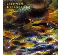 Transcendental by Slipstream