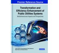Transformation and Efficiency Enhancement of Public Utilities Systems : Multidimensional Aspects and Perspectives