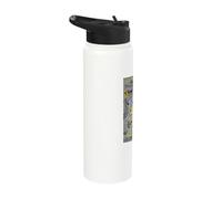 Transformers Dino Stainless Steel Insulated Water Bottle