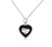 Transgender And Agender Proud Heart Pet Ashes Necklace Memorial Jewelry Dog Cat Keepsake Funeral Urn Pendant for Men Women