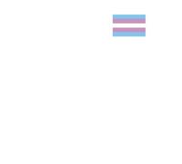 Transgender Flag T-Shirt - White - XL - White