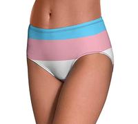 Transgender Pride Flag Womens Underwear Comfortable Mid Waisted Ladies Briefs Panties S