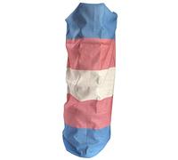 Transgender Trans LBGTQ Gay Pride Flag Quick Dry Microfibre Headwear Outdoor Magic Bandana Neck Snood Head Wrap Headband Scarf Face Mask Ultra Soft Elastic Headscarf
