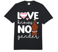 Transgender Trans LGBT Pride Rights Love Knows No Gender Comfort Colors Adult Heavyweight T-Shirt