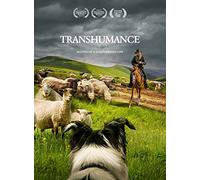 Transhumance: Routes To A Disappearing Life