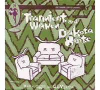 Transient Waves | Dakota Suite - Wavelength / Divided (7" Vinyl Single)