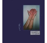Transient World [VINYL]