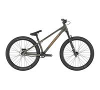 Transition PBJ Dirt Jump Bike - 2026 - Acid Bath, Short
