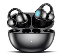 Translation Earphones