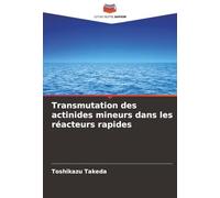 Transmutation des actinides mineurs dans les réacteurs rapides