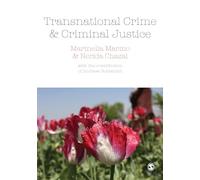 Transnational Crime and Criminal Justice