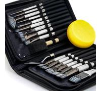 Transon 20Pcs Art Paint Brush Kit with Storage Case, 16 Brushes + Foam Brush Spatula Sponge for Acrylic Oil Watercolor Gouache, Adults Teens Beginners Art Supplies