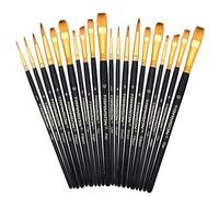 Transon 20pcs Art Painting Brush Set for Acrylic Watercolor Gouache Hobby Craft Face Painting