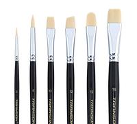 Transon Paint Brush Set 6pcs Art Painting Synthetic Bristle for Acrylic Watercolor Gouache Oil Leather Canvas and Face Painting