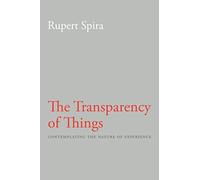 Transparency of Things: Contemplating the Nature of Experience