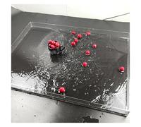 Transparent Acrylic Floating Photography Props Shooting Tray, 8MM/0.3In Thickness Acrylic Display Cabinet, Shallow Water Tank(50x30x10cm/19.7x11.8x3.9in)