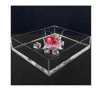 Transparent Acrylic Photo Posing Props, Creative Photography Shooting Water Tank, Display Case for Photography Storage Display High10cm/3.94In(25x25x10cm/10x10x4in)