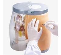 Transparent Anatomical Model for Hip Injection Practice | Realistic silicone model for safe and effective injection training.