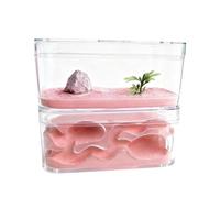 Transparent Ant Farm Nest - Educational Habitat for Home & Classroom, Clear Acrylic Ant Colony Observation Kit Pet house