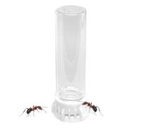 Transparent Ant Feeder - Leakproof Water Feeding Station, Sturdy Non-Slip Construction, Clear Bottle | Pet Nest Accessory for Ants Small Creatures Observation Educational Science Home