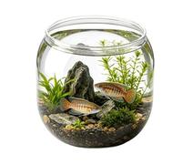 Transparent Aquatic Basin - Clear Glass Vessel, Decorative Pet Cube, Modern Seamless Visible Water Container | Polished Compact Tabletop Scenery Display Piece for Dorm Odorless Fish Bowl: