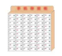 Transparent Cell Phone Security Cabinet, Wall-Mounted Solid Wood nizer, 60 Compartments, Employee Storage Locker, Durable and Stylish Design for Office Use