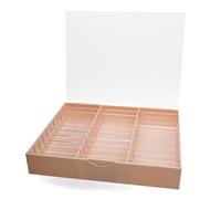 Transparent Dustproof Box For False Nails Art Keep Your Masterpieces Clean Adjustable Dividers Easy To Carry