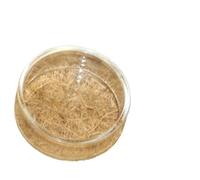 Transparent Glass/Acrylic Feeding Circle & Bottom Feeder for Aquarium (5pc-b)