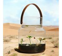 Transparent Glass Goldfish Bowls,High-Definition Glass Aquariums, Elegant And Natural Betta Fish Bowls,Miniature Turtle Terrariums Create Miniature Aquatic Gardens,Also Suitable for Home