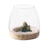 Transparent Glass Hydroponic Fish Pot - Elegant Bowl with Wooden Base, Perfect for Indoor Decoration| Glass Planter for Hydroponic Plants, Decorative Terrarium for Mouth Flowers