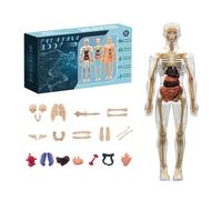 Transparent Human Body Model Kit - 3D Anatomical Torso Anatomy Model with 15+ Detachable Organs, DIY Educational STEM Science Toy for Kids 6+ | Ideal for Halloween, Classroom Display