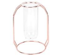 Transparent Hydroponic Plant Vases Glass Flower Pot for Home Decorations Tabletop Modern Design Stainless Steel Gold Rose Gold 11x15.5cm (Rose Gold)
