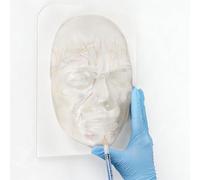 Transparent Injection Mannequin Head with Vessel Mapping Non-Slip Base