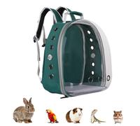 Transparent Parrot Backpack,12 Holes Ventilate Space Capsule Carrier,Stick Wooden Standing Perch,Portable Double Shoulder Outdoor Pet Backpack Carrier for Birds and Pets (Green,Without stick)