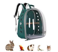 Transparent Parrot Backpack,12 Holes Ventilate Space Capsule Carrier,Stick Wooden Standing Perch,Portable Double Shoulder Outdoor Pet Backpack Carrier for Birds and Pets (Green,With stick)