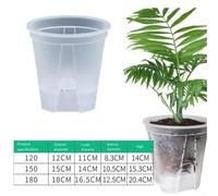 Transparent Plant Pots with Attached Saucer Designed for Healthy Root Growth and Observability (180)