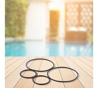 Transparent Pre-Filter O-Ring Set for Pool Pumps, 4-Piece (2 Large + 2 Small), for SPS25/SPS75/SPS100, Leak-Proof Seal, Enhanced Filtration Efficiency, Residential & Commercial Pool Maintenance(2pcs)