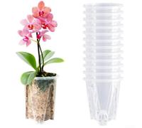 Transparent Resin Orchid Container With Ventilated Sides And Bottom For Root Monitoring 360 Degree Airflow Structure Odorless Material Tray Included