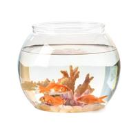 Transparent Round Fish Tank Bowl - 360° Crystal View Plastic Desktop Aquarium, Shatterproof Home Office Decor(E)